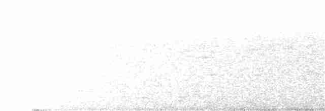 Western Black-eared Wheatear - ML154380521