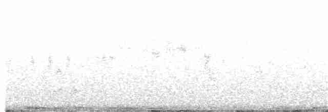 Western Orphean Warbler - ML154408651