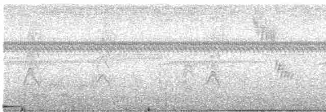 Flankenfleckenspelzer - ML154474951