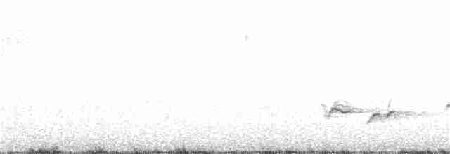 Піранга пломениста - ML154513081