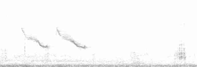 Kaya Çıtkuşu - ML154530201