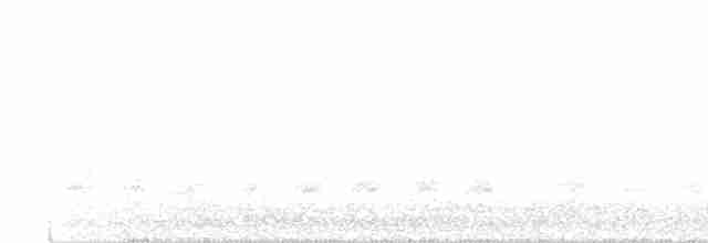Large Gray Babbler - ML154562091