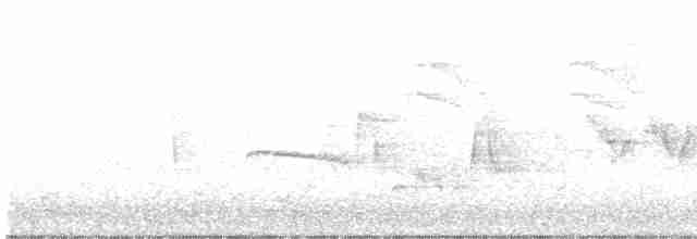 Cerulean Warbler - ML154573671
