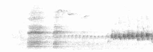 European Robin - ML154637791