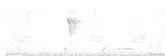 Swinhoe's Pheasant - ML154660821
