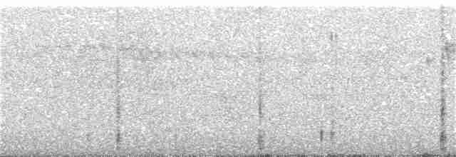 Gri Kaşlı Dikenkuyruk - ML154704481