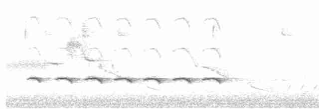 Чернохохлая гренадерка - ML154711881