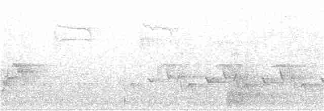 Голубокрылая червеедка - ML154724431