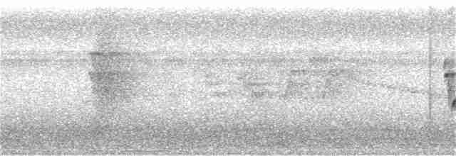 アカハシチャツグミ - ML154726011