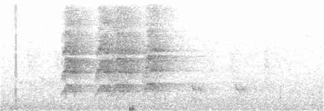 Conure de Hellmayr (amazonum) - ML154739241