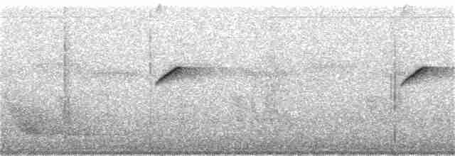 Colibri corinne - ML154740291