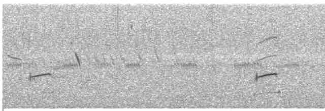 Loggerhead Shrike - ML154813161