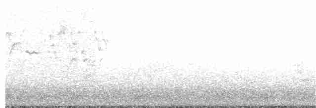 Hermit Thrush - ML154815991