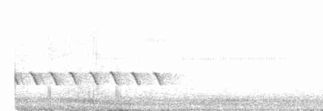 Black-crested Titmouse - ML154867781