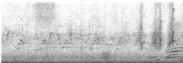 vlaštovka obecná - ML154917881