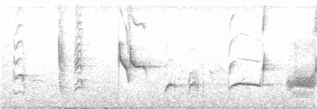 Длинноклювый пересмешник - ML154922161