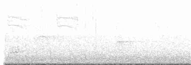 Sarı Karınlı Sinekkapan - ML154924241