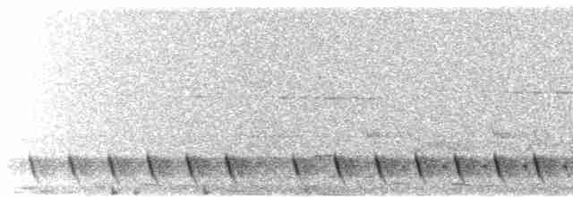 Gray Nightjar - ML155012031