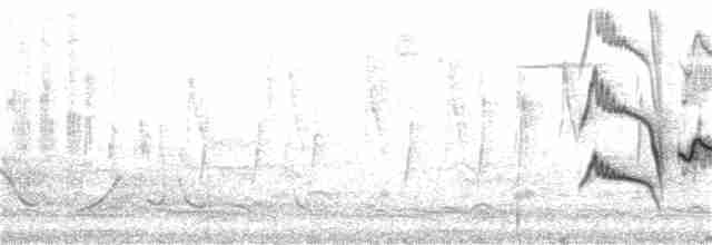 Butan Yağmurlu Gevezeardıcı - ML155015821