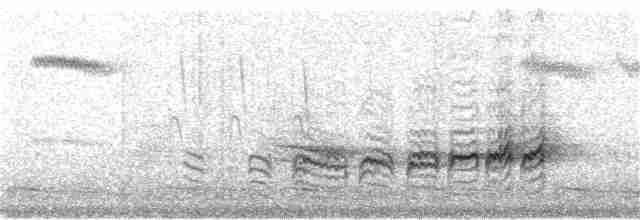 Пестрогорлая юхина - ML155085621