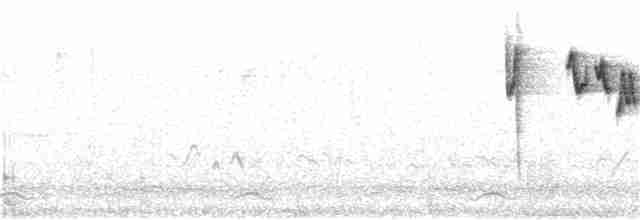 Gray-sided Bush Warbler - ML155086171