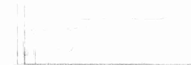 White-tailed Iora - ML155098221