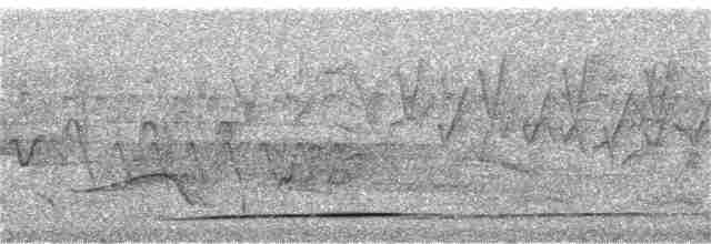 Воротничковая лесная куропатка - ML155106901