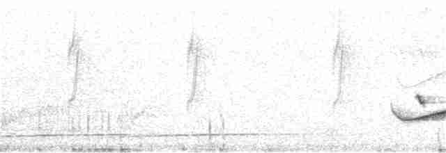Pouillot de Whistler - ML155107041
