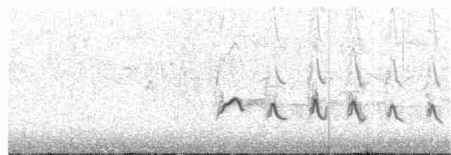 fjellrosenfink (rubicilla) - ML155121991