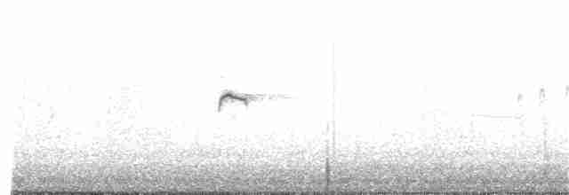 Горихвістка червоночерева - ML155123571