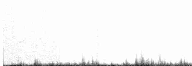 オジロヒメドリ - ML155133751