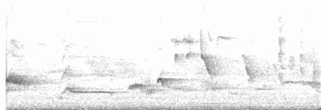 Кропив'янка прудка (підвид curruca/blythi/hamertoni) - ML155135091