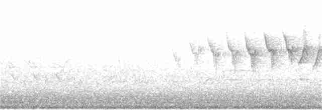 Taçlı Ötleğen (coronata) - ML155150111
