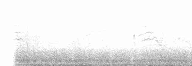 Green-tailed Towhee - ML155158111