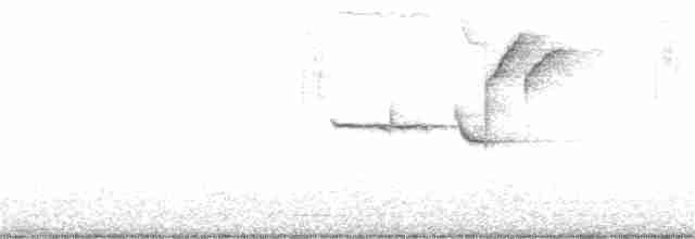 Коровий трупиал, буроголовый желтушник - ML155195311