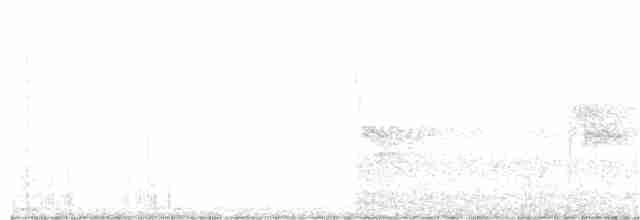 Tourterelle côtière - ML155207351