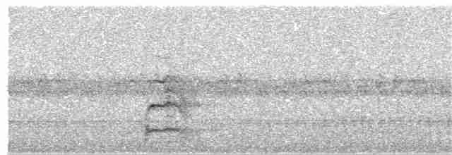 Chevêchette des saguaros - ML155212601