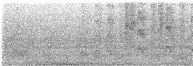 Lal Boğazlı Kolibri - ML155217261
