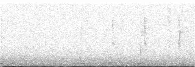 Black-crested Warbler - ML155234671