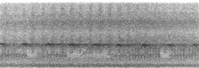 Aigle montagnard - ML155236211