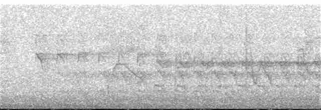 Grauschwanz-Dickichtschlüpfer - ML155236601
