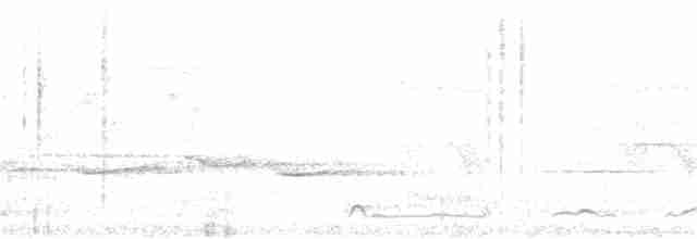 Kara Göğüslü Çalı Timalyası - ML155293421