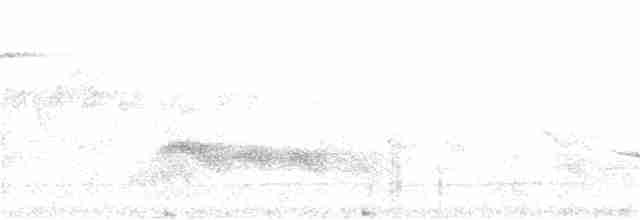 Sikkim Wedge-billed Babbler - ML155293471