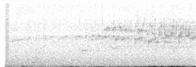 White-throated Swift - ML155298201