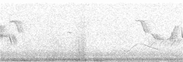 Buff-barred Warbler - ML155302001