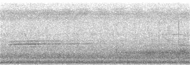 Black-tailed Crake - ML155303691