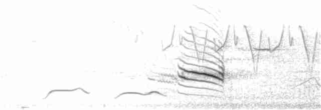 Пестрогорлая юхина - ML155315791