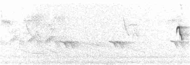 Papamoscas Ventrigualdo - ML155332921