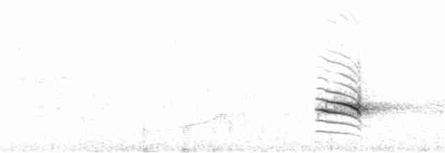Пестрогорлая юхина - ML155334521