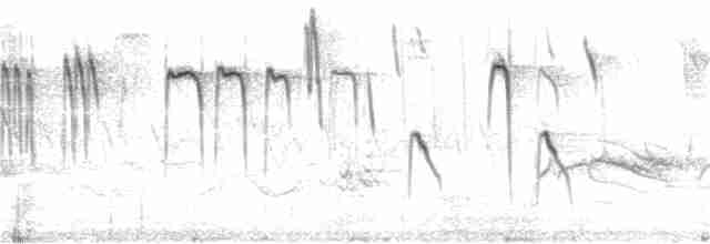 Gri Tepeli Baştankara - ML155334781